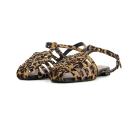 CANGREJERA LEOPARDO