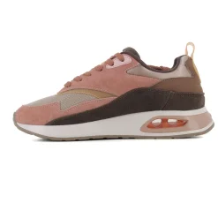 DEPORTIVO MULTICOLOR