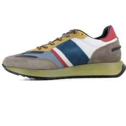 DEPORTIVO MULTICOLOR