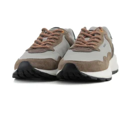 DEPORTIVO MULTICOLOR